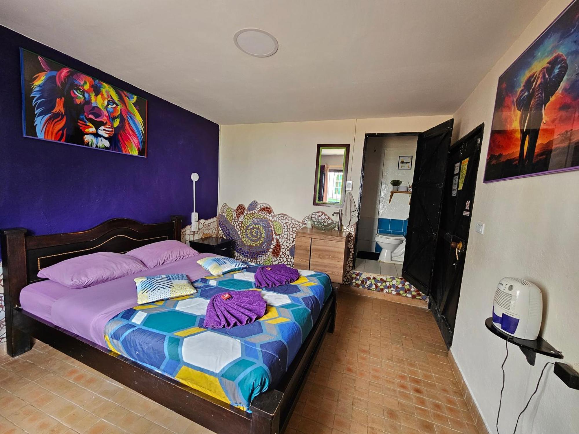 Hostal Bambu San Agustín Exteriér fotografie
